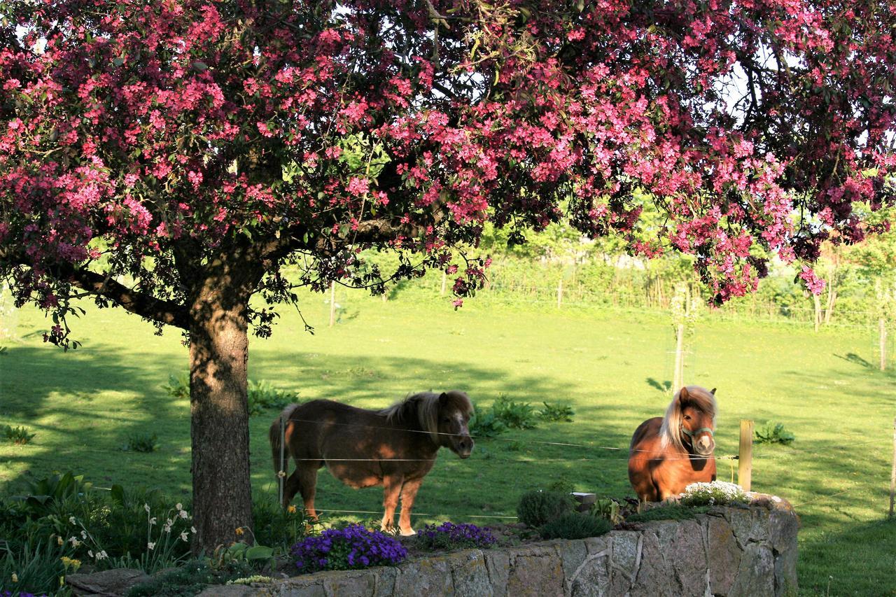 Rodkaergard Bed&Breakfast Kerteminde Bagian luar foto