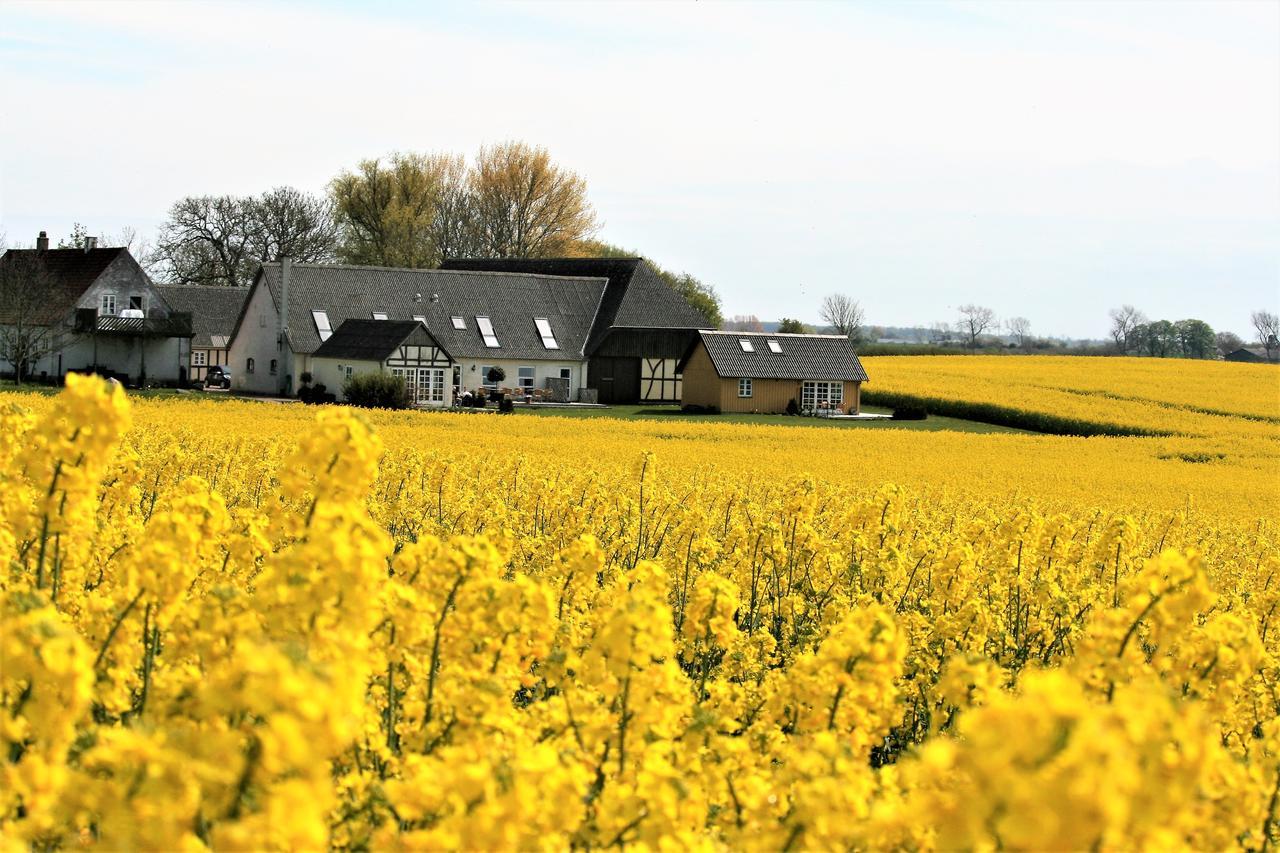 Rodkaergard Bed&Breakfast Kerteminde Bagian luar foto